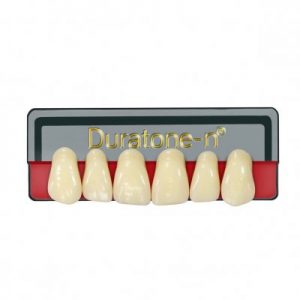 Dientes Duratone-n® Vita   superior ( 4 capas cromáticas )