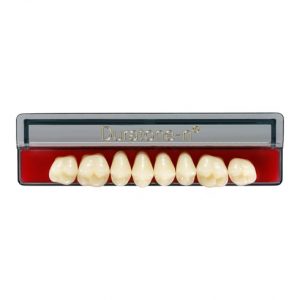 Dientes Duratone-n® Vita Posterior Superior ( 4 capas cromáticas )
