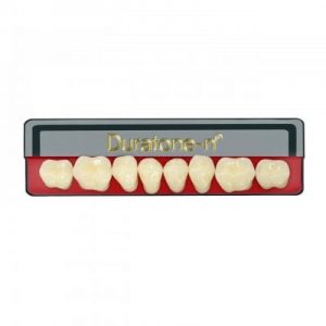 Dientes Duratone-n® Vita Posterior Inferior ( 4 capas cromáticas )