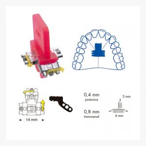 TORNILLOS TRIDIR ANAT  2 PUNTOS LEONE