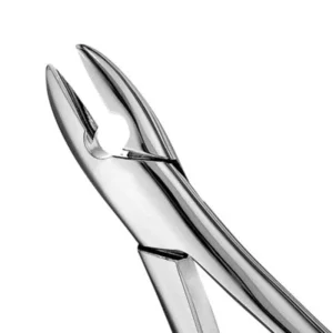Forcep Adulto Recto Anterior