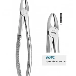 Forcep Adulto 29S Recto Anterior Fino