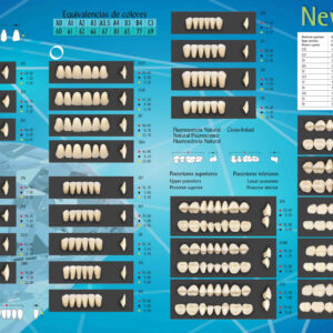 Dientes Acrílicos Newcryl® - NEW STETIC
