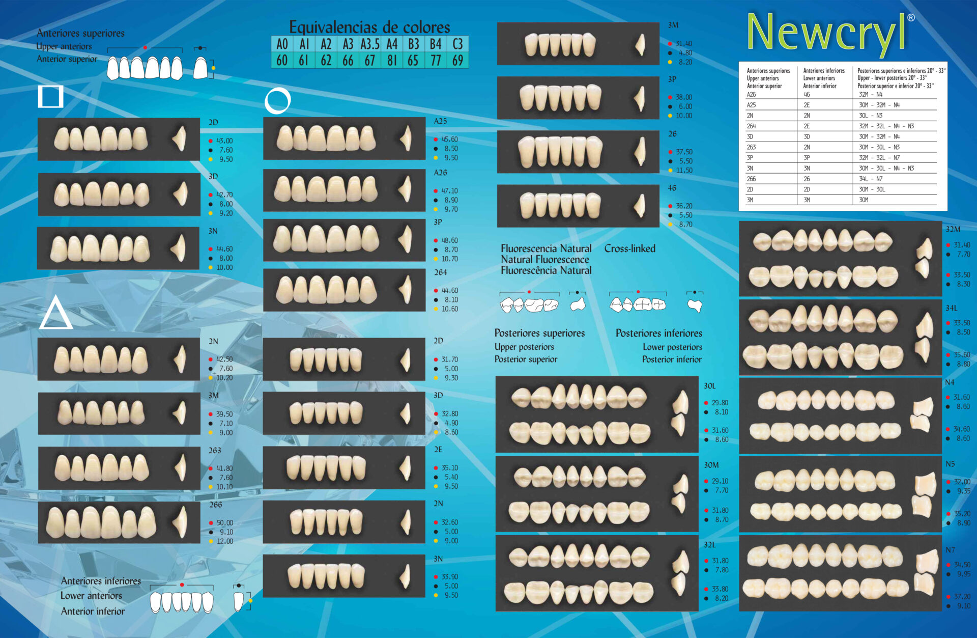 Dientes Acrílicos Newcryl® - NEW STETIC