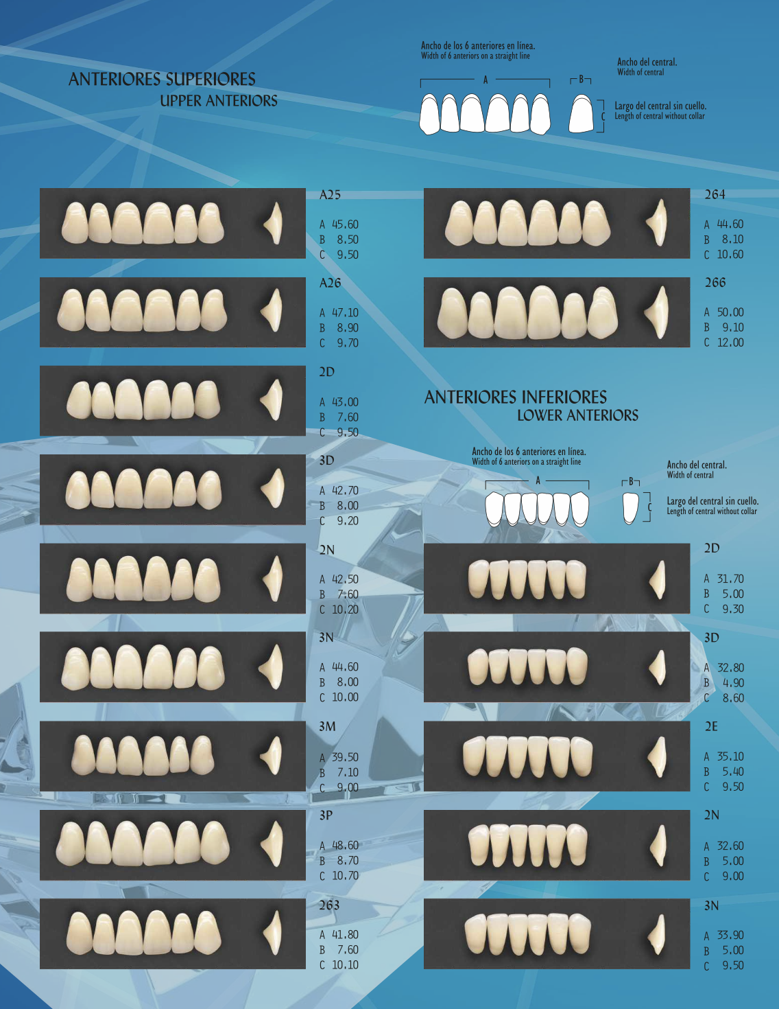 Dientes Acrílicos Newcryl® - NEW STETIC - Imagen 4