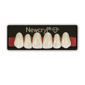 Dientes Newcryl 3P - NEW STETIC