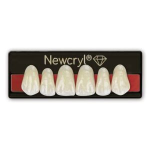 Diente Newcryl Antero Superior - NEWCRYL