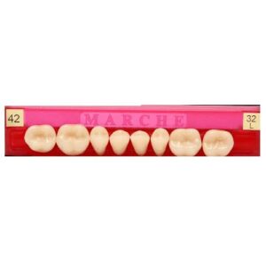Dientes Marche 32L